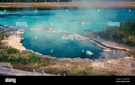 Yellowstone National Park Hot Springs Geysers Stock Photo - Alamy