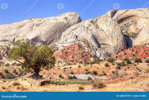 Waterpocket stock photo. Image of escalante, nature, folded - 43847970