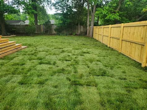 Fescue Sod - Sod Source TN LLC