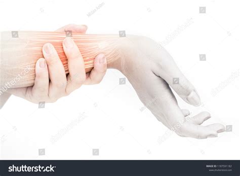 Forearm Muscle Pain Stock Photo 1187591182 | Shutterstock