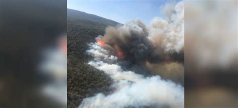 Activan Alerta Atmosf Rica En Guadalajara Por Incendio En Bosque De La