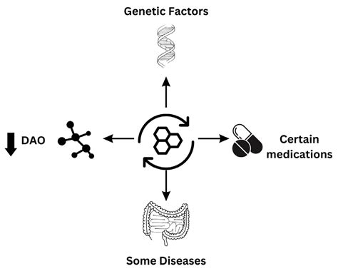 Histamine Intolerance: Symptoms, Diagnosis, and Beyond