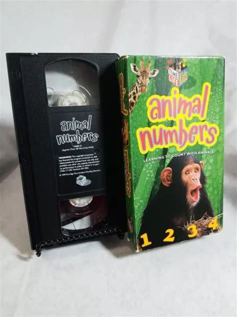 Top 150 + Animal numbers vhs - Lifewithvernonhoward.com