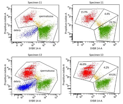 Examples Of Flow Cytometer Charts Concerning Sperm Cell Integrity In