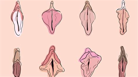 Revolución contra la estética de la vulva y los pechos