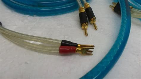 Renaissance Audio Srb Stspeaker Cables 4 Meter Pair Pm £100000