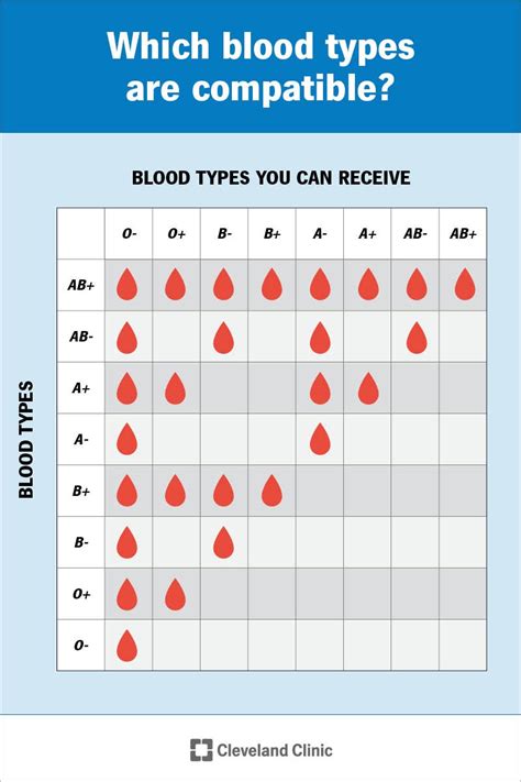 Blood Types: What They Are and Mean for Your Health - Worksheets Library