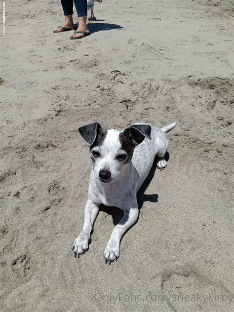 Sneakykirby Nude OnlyFans Leaks The Fappening Photo FappeningBook