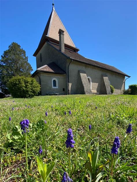 Sentier Des Toblerones Graue Panther Bern