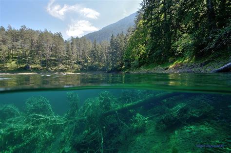 Tauchen in Tirol - Hotel Schloss Fernsteinsee