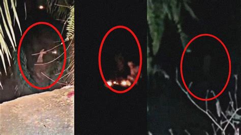 Bukit Naga Pocong Melompat Depan Bomoh Ilmu Hitam Paranormal Dzp