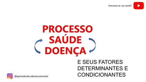 Condicionante E Determinante Da Saude LIBRAIN