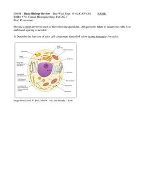 Provenzano BMEn5701 Cancer Bio E 2021 Lecture 17 18 Lecture 17 And 18