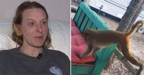 Brittany Parker Pet Monkey Shot Dead After He Almost Rips Oklahoma