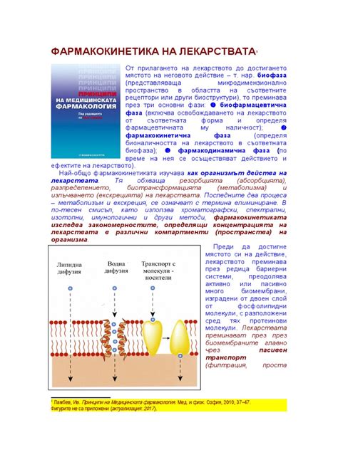 Kinetics | PDF