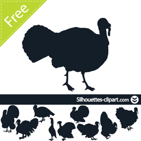 Wild Turkey Clipart at GetDrawings | Free download