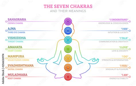 The Seven Chakras and their meanings Stock Vector | Adobe Stock