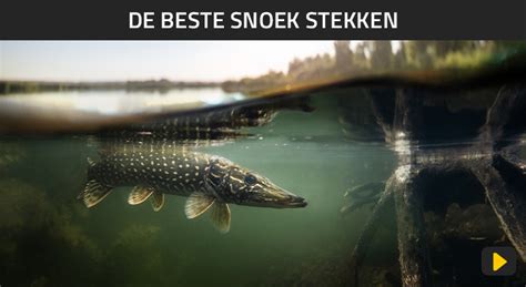 Voor Het Eerst Snoekvissen Hier Leer Je Alles Over Snoekvissen