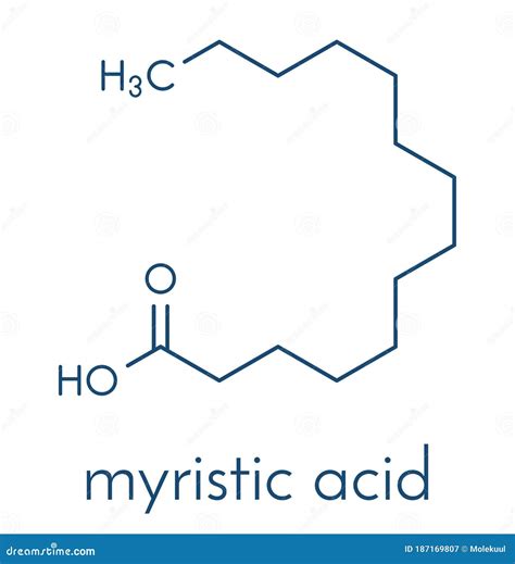 Myristic Tetradecanoic Acid Molecule It Is Saturated Fatty Acid