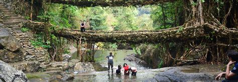 Tourism in Meghalaya: Things to do in Meghalaya