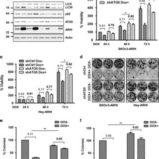 Re Expression Of Arhi Failed To Induce Apoptosis A Re Expression Of