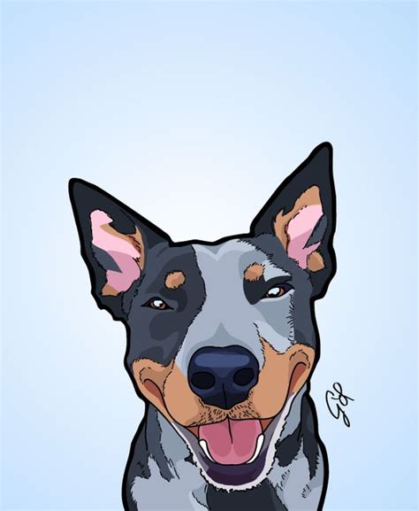 How To Draw Cattle Dogs Australian Cattle Dog Drawing Animal