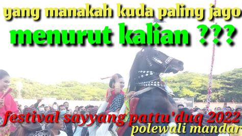 Kuda Yang Paling Di Tunggu Tunggu Di Festival Sayyang Pattu Duq