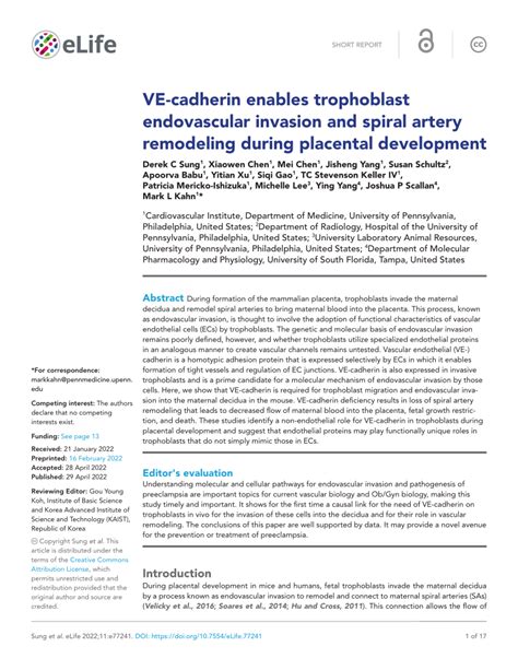 Pdf Ve Cadherin Enables Trophoblast Endovascular Invasion And Spiral