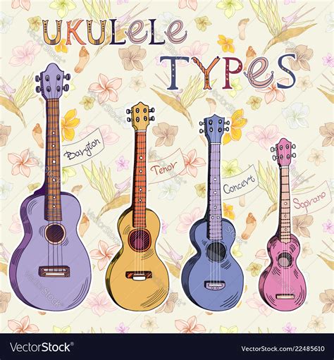 Ukulele types Royalty Free Vector Image - VectorStock