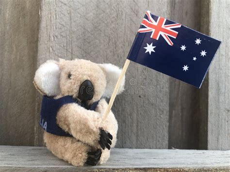 Cute Koala Holding The Australian Flag Stock Image Image Of