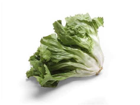 Escarole Lettuce, 1 ct - Kroger