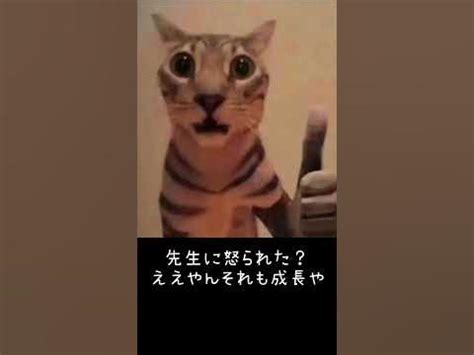 ええやん界隈あかんやん界隈 - YouTube