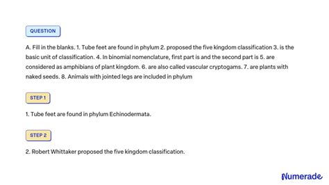 Solved A Fill In The Blanks Tube Feet Are Found In Phylum
