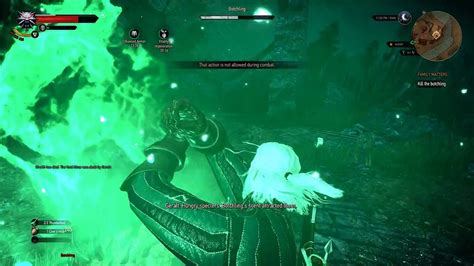 Witcher 3 Botchling Boss Fight Hard Mode 4k 60fps Dailymotion Video