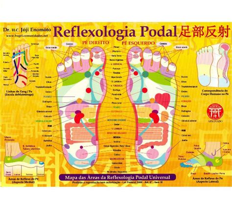 Mapa Reflexologia Podal Enomoto Instituto Samurai Mapas Magazine Luiza