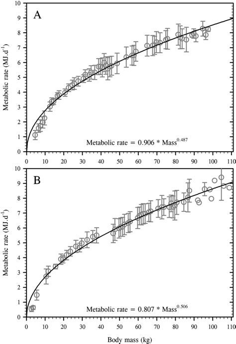 Allometric Scaling Of The Resting Absolute Metabolic Rates Males For