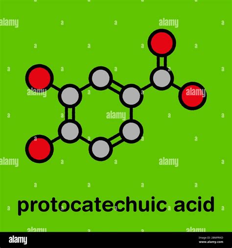 Protocatechuic Acid Pca Green Tea Antioxidant Molecule Stylized Skeletal Formula Chemical