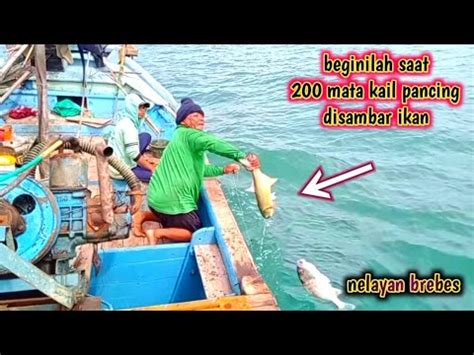 Perjuangan Mancing Rawai Saat Mata Kail Pancing Disambar Ikan Youtube