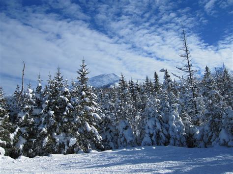 Free Images Tree Forest Snow Winter Frost Mountain Range