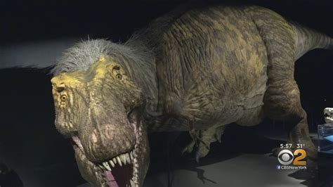 √ Dinosaurs Tyrannosaurus Rex Natural History Museum Alumn Photograph