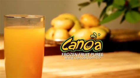 HOW TO MAKE JUICE WITH CANOA FRUIT PUREE YouTube