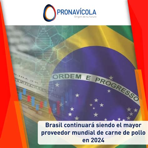 Brasil Continuar Siendo El Mayor Proveedor Mundial De Carne De Pollo