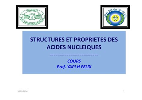 Les Acides Nucl Iques Ppt