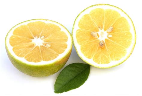 Bergamot orange - Alchetron, The Free Social Encyclopedia