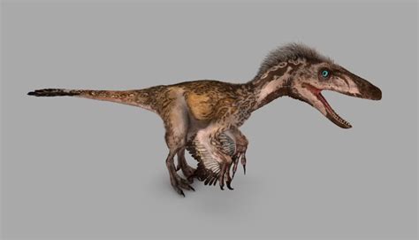 Utahraptor | Dinosaur Revolution Wiki | Fandom powered by Wikia