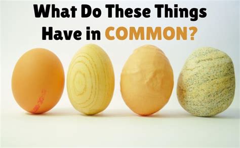 quiz       common trivia quizzes