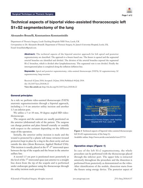 PDF Technical Aspects Of Biportal Video Assisted Thoracoscopic Left