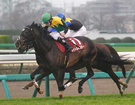 【日経賞】菊花賞馬タイトルホルダー 逃げ切り完勝！天皇賞・春へ弾んだ スポニチ競馬web