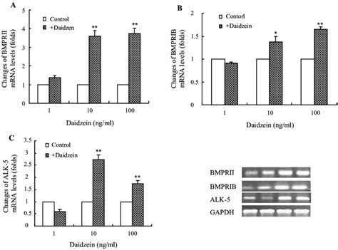 Effects Of Daidzein On Mrna Expression Of Bmprii Bmprib And Alk In