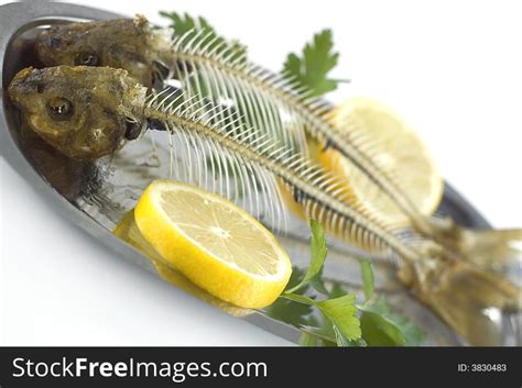 Fish Bones - Free Stock Images & Photos - 3830483 | StockFreeImages.com